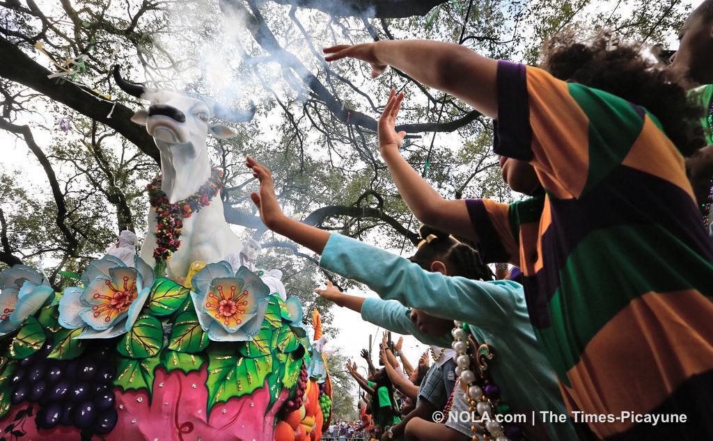 Rex rolls in New Orleans: See photos of the Mardi Gras parade
